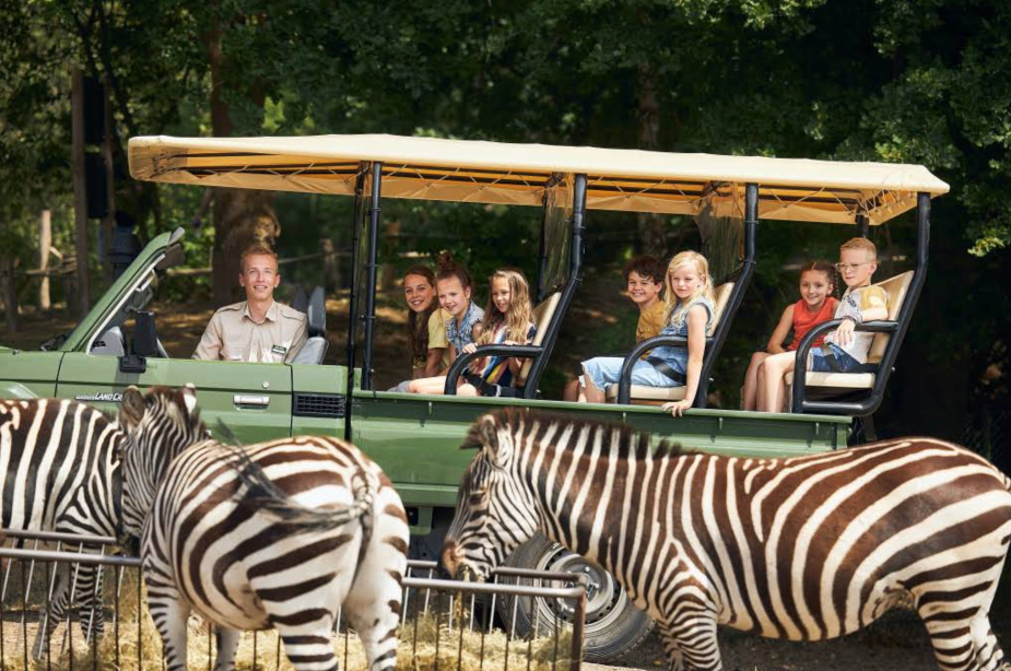 A group of children and an adult sit in an open-sided safari vehicle, smiling and looking at several zebras standing nearby, with trees in the background.
